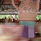 Visa/Disney Print